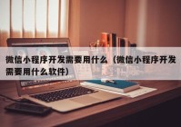 微信小程序開發(fā)需要用什么（微信小程序開發(fā)需要用什么軟件）