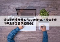 微信小程序開發(fā)工具app叫什么（微信小程序開發(fā)者工具下載哪個(gè)）