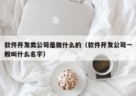 軟件開發(fā)類公司是做什么的（軟件開發(fā)公司一般叫什么名字）