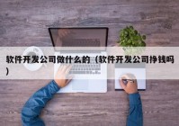 軟件開發(fā)公司做什么的（軟件開發(fā)公司掙錢嗎）