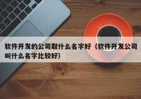 軟件開發(fā)的公司取什么名字好（軟件開發(fā)公司叫什么名字比較好）