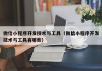 微信小程序開發(fā)技術與工具（微信小程序開發(fā)技術與工具有哪些）