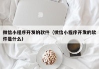 微信小程序開發(fā)的軟件（微信小程序開發(fā)的軟件是什么）