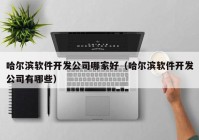 哈爾濱軟件開發(fā)公司哪家好（哈爾濱軟件開發(fā)公司有哪些）