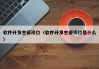 軟件開(kāi)發(fā)主要崗位（軟件開(kāi)發(fā)主要崗位是什么）