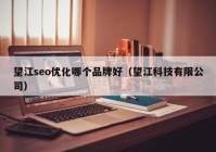 望江seo優(yōu)化哪個品牌好（望江科技有限公司）