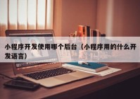 小程序開發(fā)使用哪個后臺（小程序用的什么開發(fā)語言）