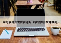 學習軟件開發(fā)有前途嗎（學軟件開發(fā)賺錢嗎）