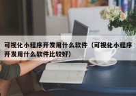 可視化小程序開發(fā)用什么軟件（可視化小程序開發(fā)用什么軟件比較好）