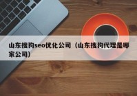 山東搜狗seo優(yōu)化公司（山東搜狗代理是哪家公司）