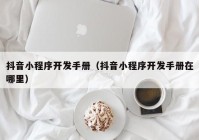 抖音小程序開發(fā)手冊(cè)（抖音小程序開發(fā)手冊(cè)在哪里）