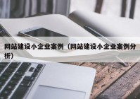 網(wǎng)站建設(shè)小企業(yè)案例（網(wǎng)站建設(shè)小企業(yè)案例分析）