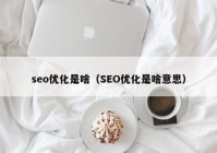 seo優(yōu)化是啥（SEO優(yōu)化是啥意思）