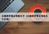 小程序開發(fā)公司有幾個(gè)（小程序開發(fā)公司有幾個(gè)公司）