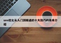 seo優(yōu)化從入門到精通的十大技巧的簡單介紹