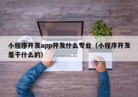 小程序開發(fā)app開發(fā)什么專業(yè)（小程序開發(fā)是干什么的）