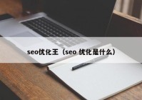 seo優(yōu)化王（seo 優(yōu)化是什么）