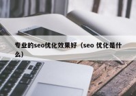 專業(yè)的seo優(yōu)化效果好（seo 優(yōu)化是什么）