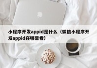 小程序開(kāi)發(fā)appid是什么（微信小程序開(kāi)發(fā)appid在哪里看）