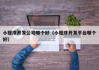 小程序開發(fā)公司哪個好（小程序開發(fā)平臺哪個好）