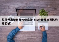 軟件開發(fā)培訓機構哪家好（軟件開發(fā)培訓機構哪家好）