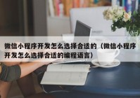 微信小程序開發(fā)怎么選擇合適的（微信小程序開發(fā)怎么選擇合適的編程語言）