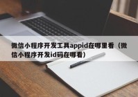 微信小程序開發(fā)工具appid在哪里看（微信小程序開發(fā)id碼在哪看）