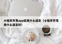 小程序開發(fā)app應(yīng)用什么語言（小程序開發(fā)用什么語言好）